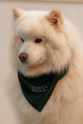 BLAKE'S BIKKITS GLUTEN FREE DOG TREATS