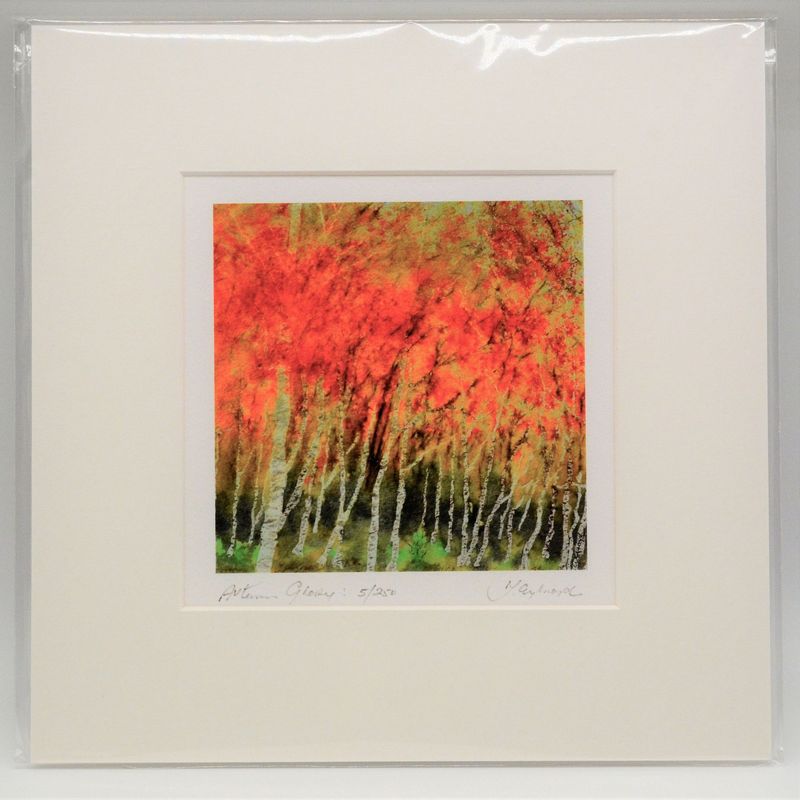 Autumn Glory