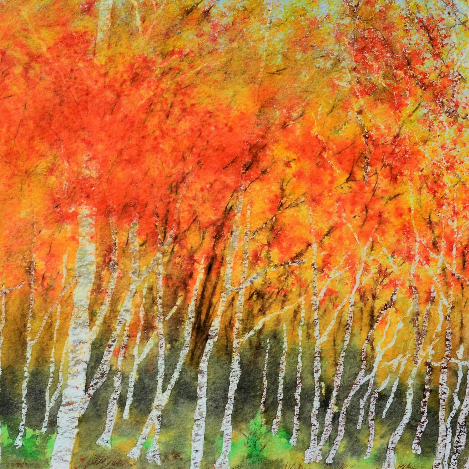 Autumn Glory