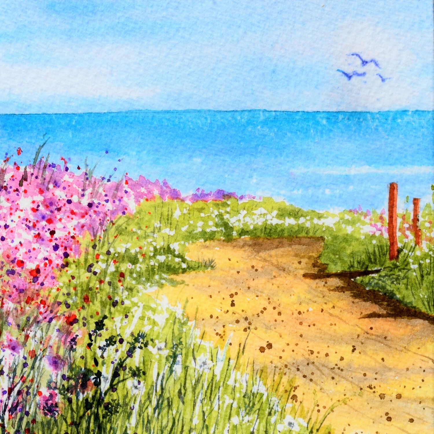Track to the beach