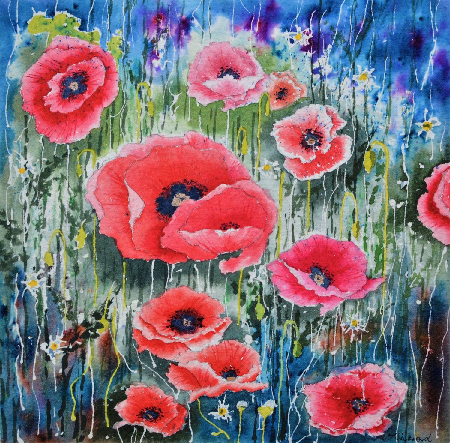 Mixed Poppies