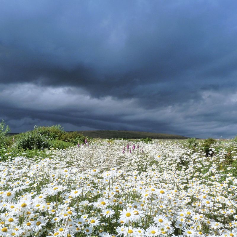Stormy Sky, Black Hill