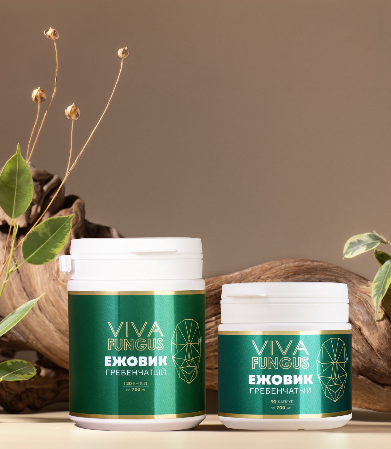 VIVA FUNGUS Ежовик Гребенчатый, Количество капсул в упаковке: 90