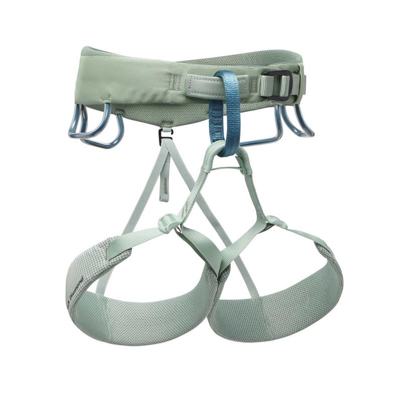 Women&#39;s Momentum Harness