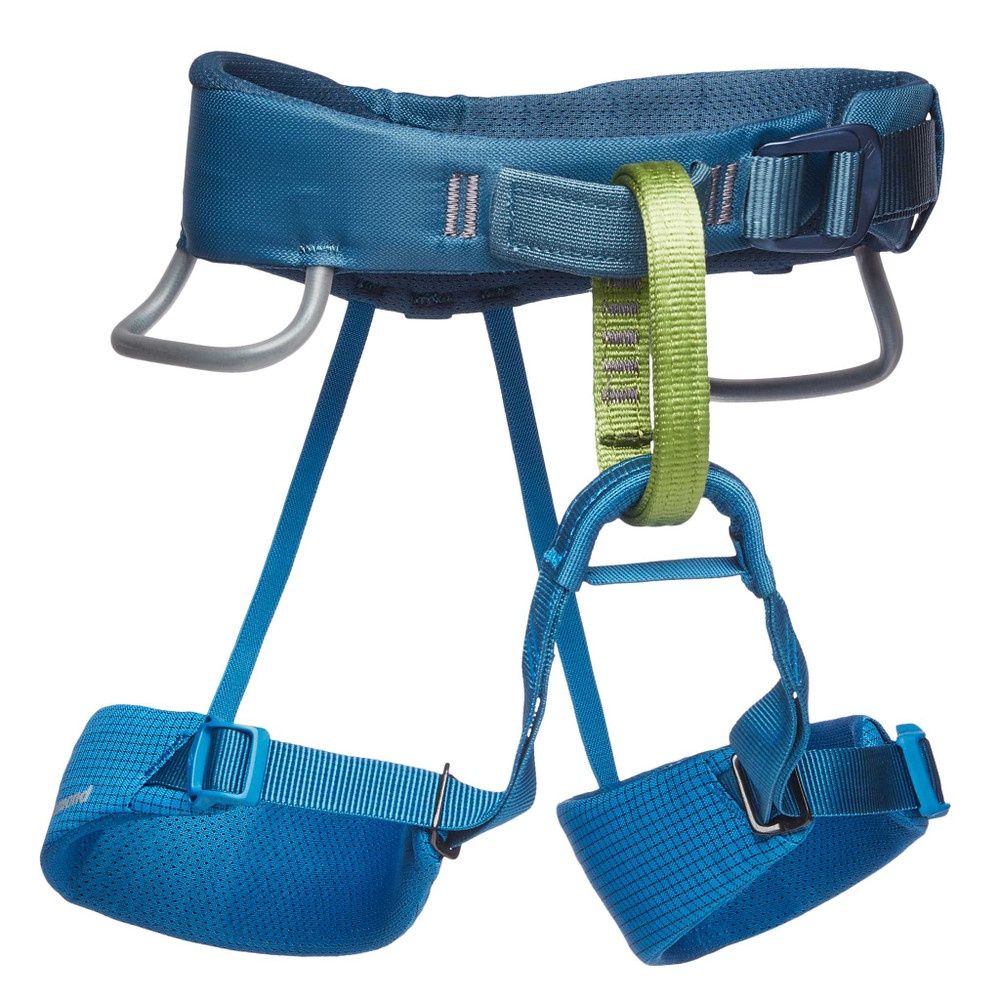 Kid&#39;s Momentum Harness, Color: Kingfisher