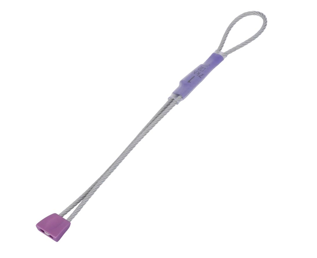 Wallnut 1 Purple