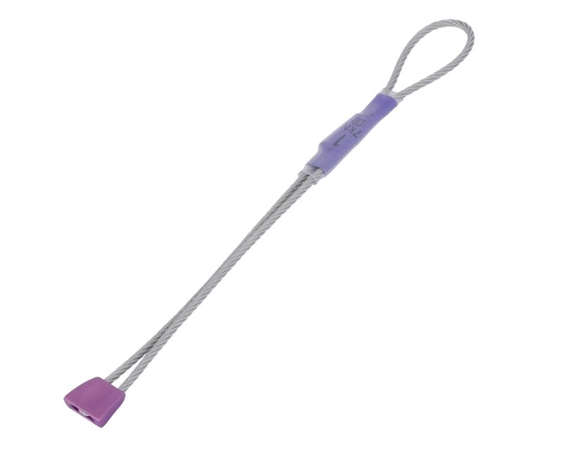Wallnut 1 Purple