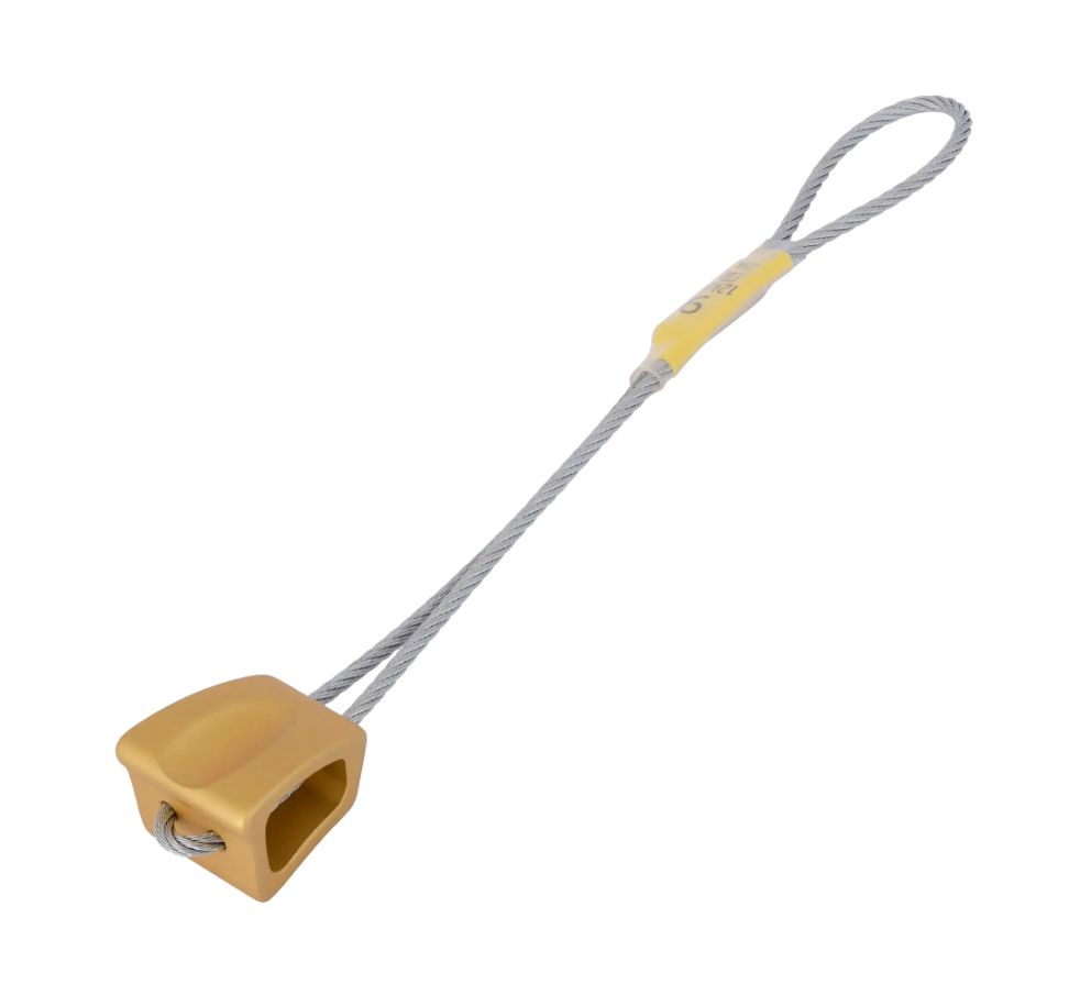 Wallnut 9 Gold
