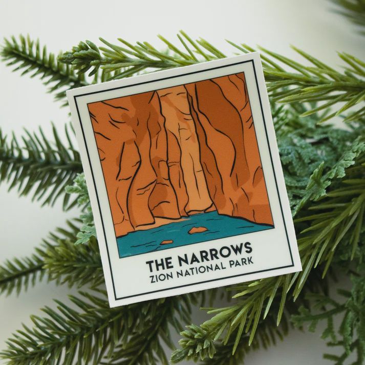 The Narrows Snapshot