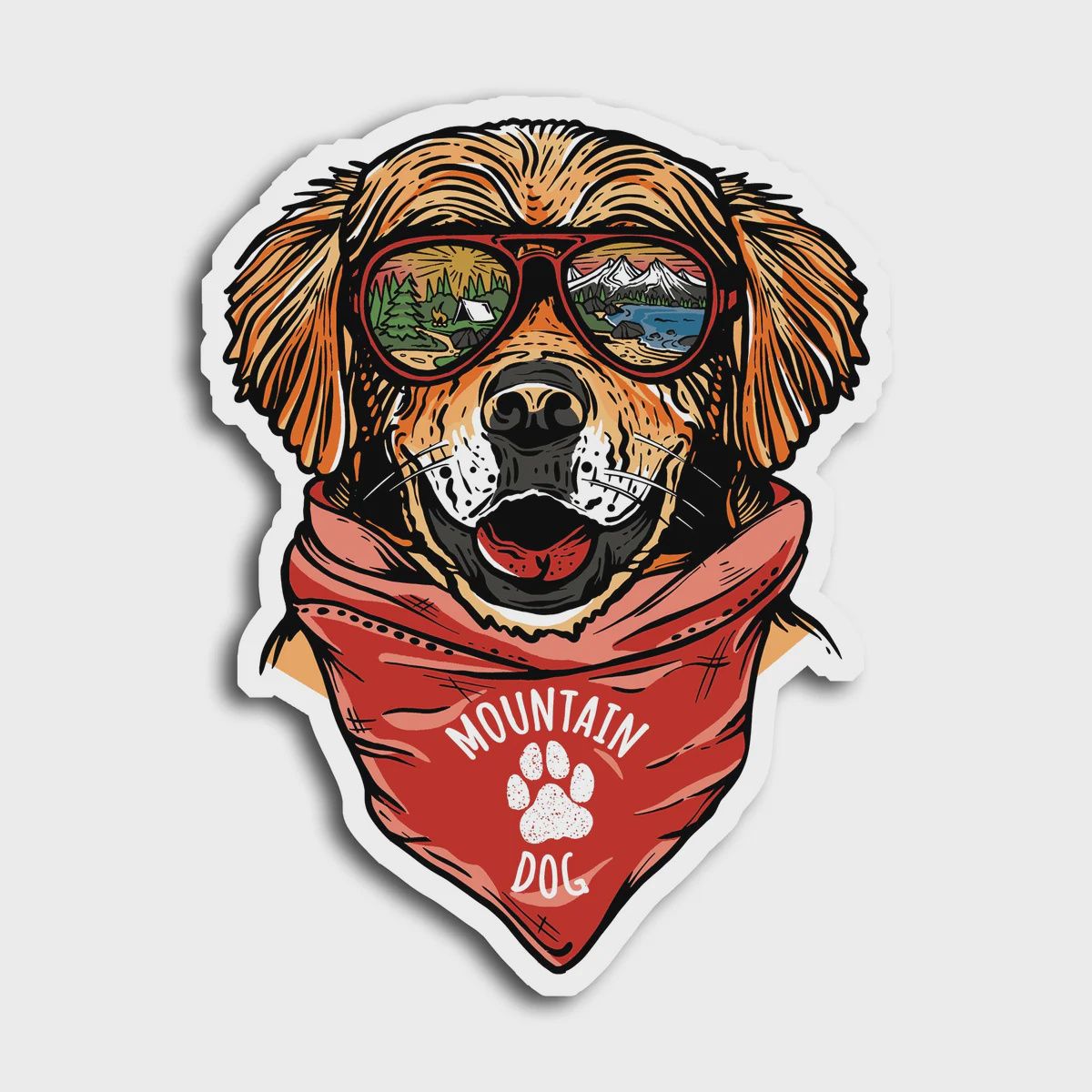 Maximus the Mountain Dog