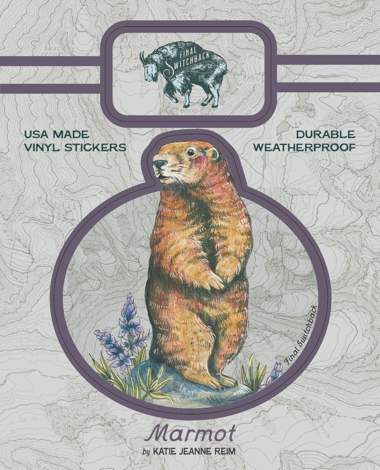 Marmot (Final Switchback)