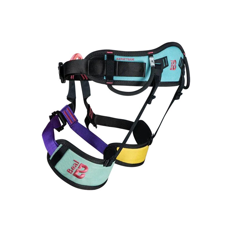 Aeroteam IV Harness