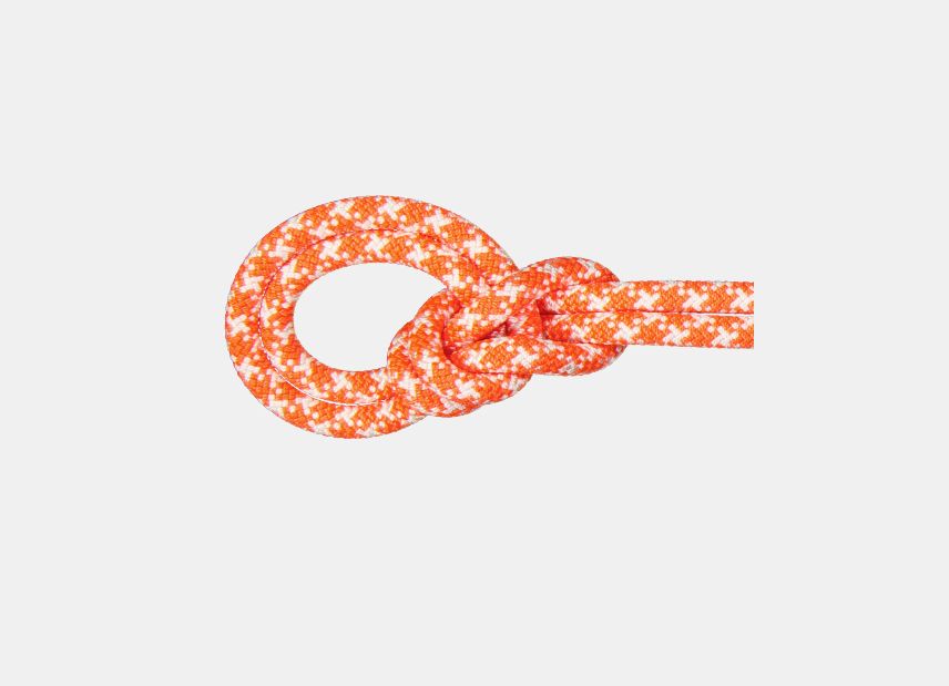 9.5 Crag Classic Rope 80m