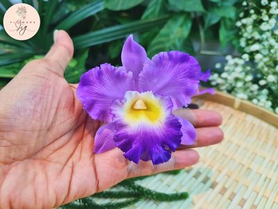 Handcrafted Purple Cattleya Orchid Hair Pin made from realistic polymer clay, featuring delicate shades of purple, white, and yellow. Ideal for weddings, special events, and tropical-themed outfits.