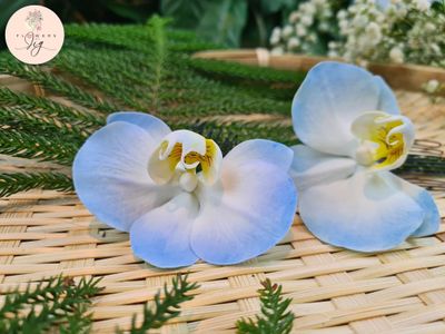 Handmade light blue tropical orchid hairpin in polymer clay for weddings and tropical events. Realistic, hand-painted, lightweight, and durable. Perfect bridal accessory for photoshoots, vacations, and formal occasions