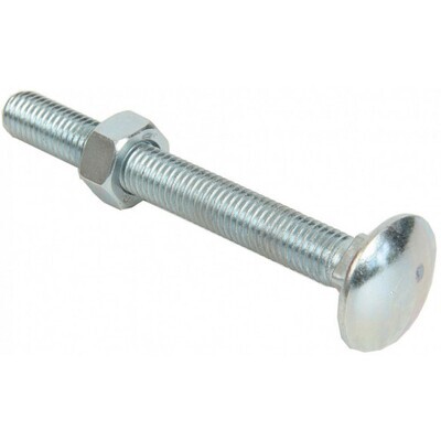 Carriage Bolts
