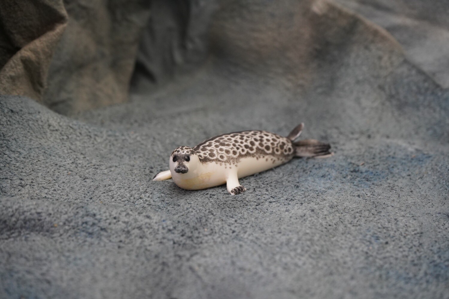 Ring Seal