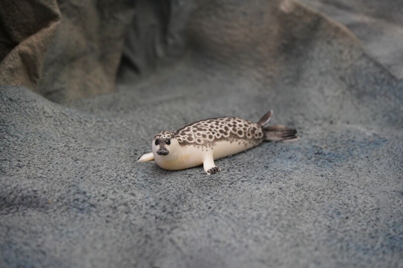 Ring Seal