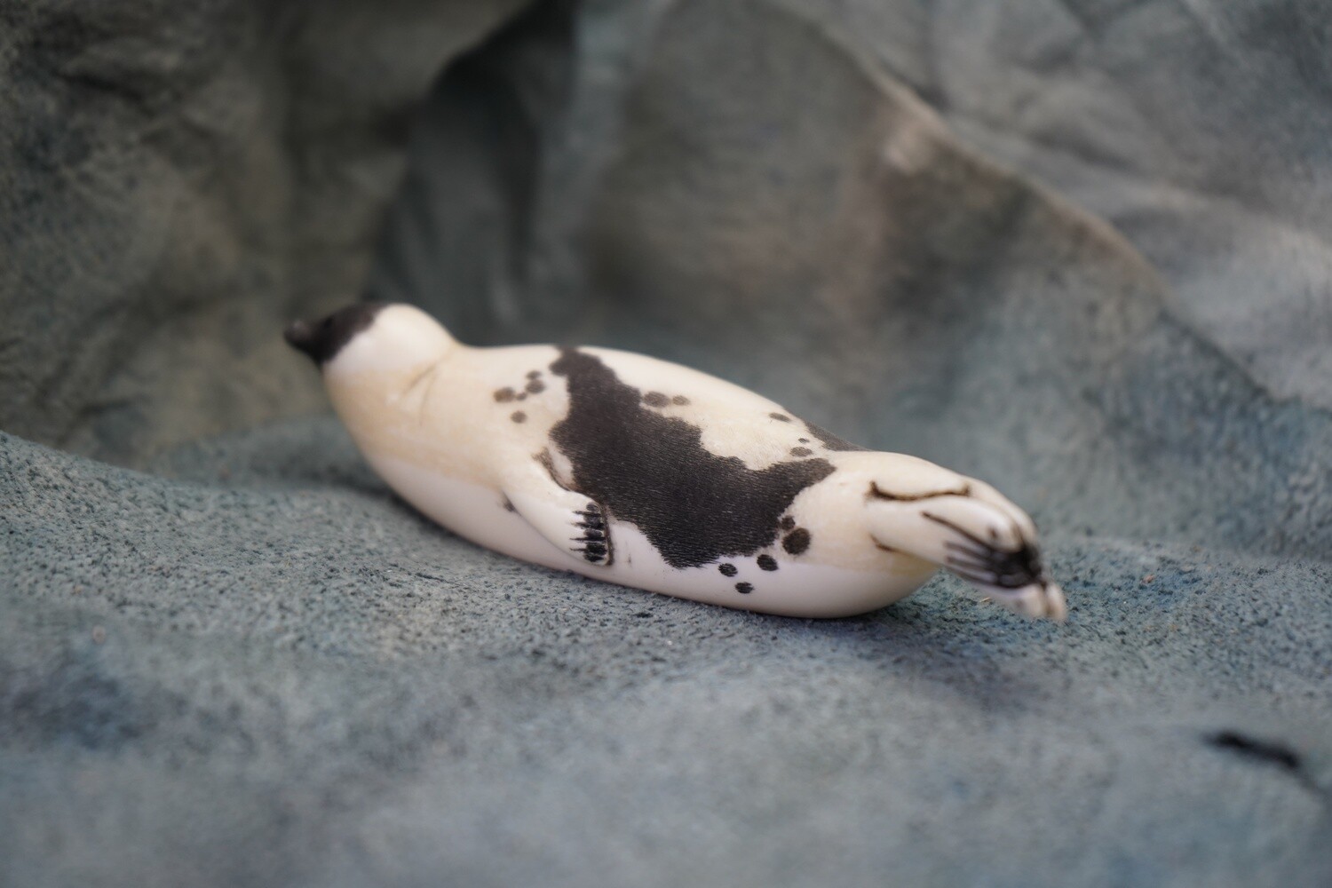 Harp Seal