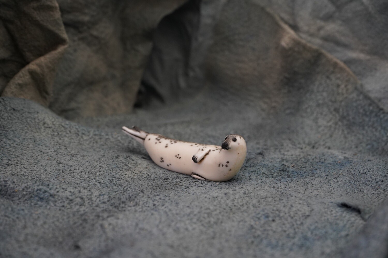 Resting Baby Ring Seal