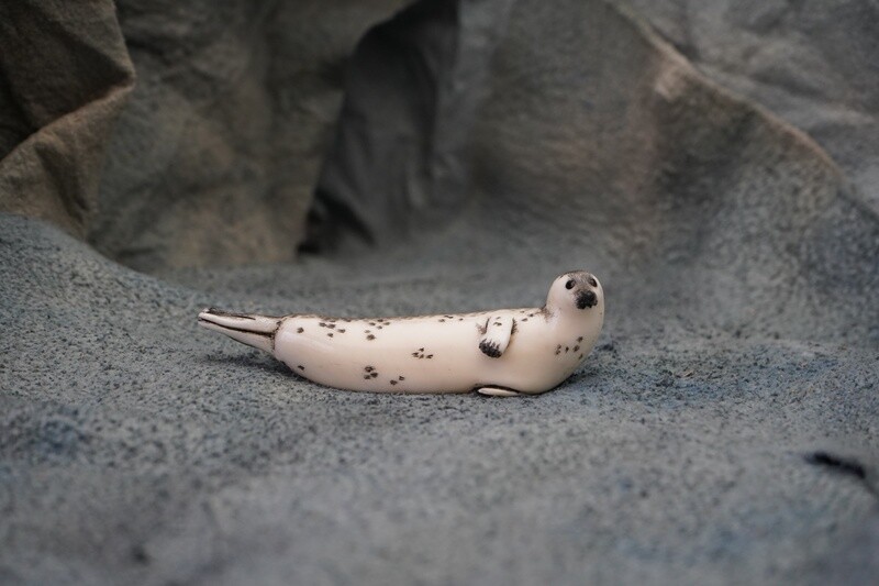 Resting Baby Ring Seal
