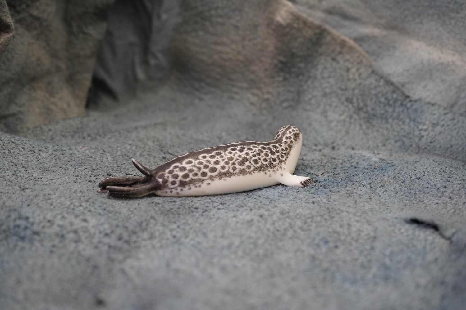 Ring Seal