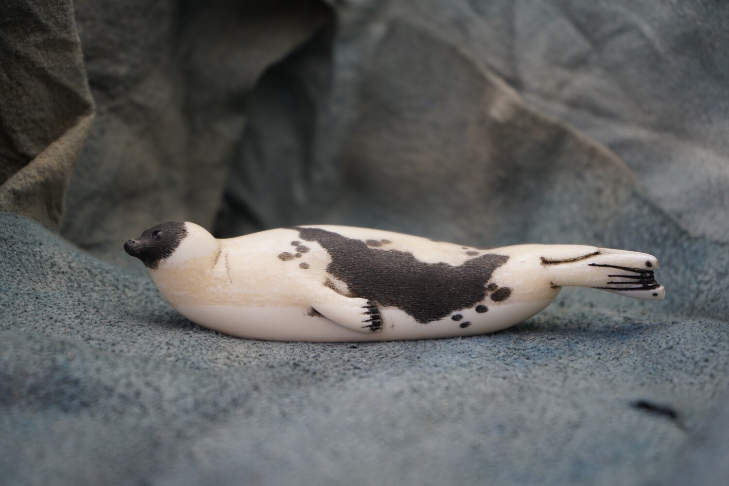 Harp Seal
