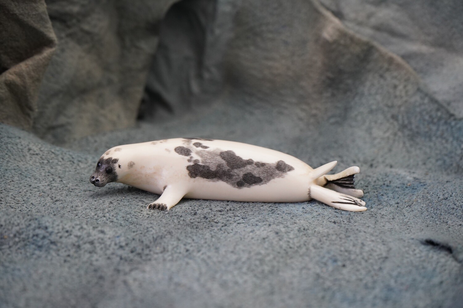 Harp Seal