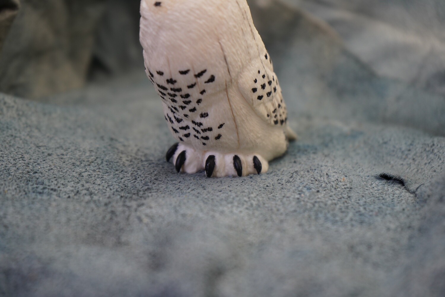 Snow Owl