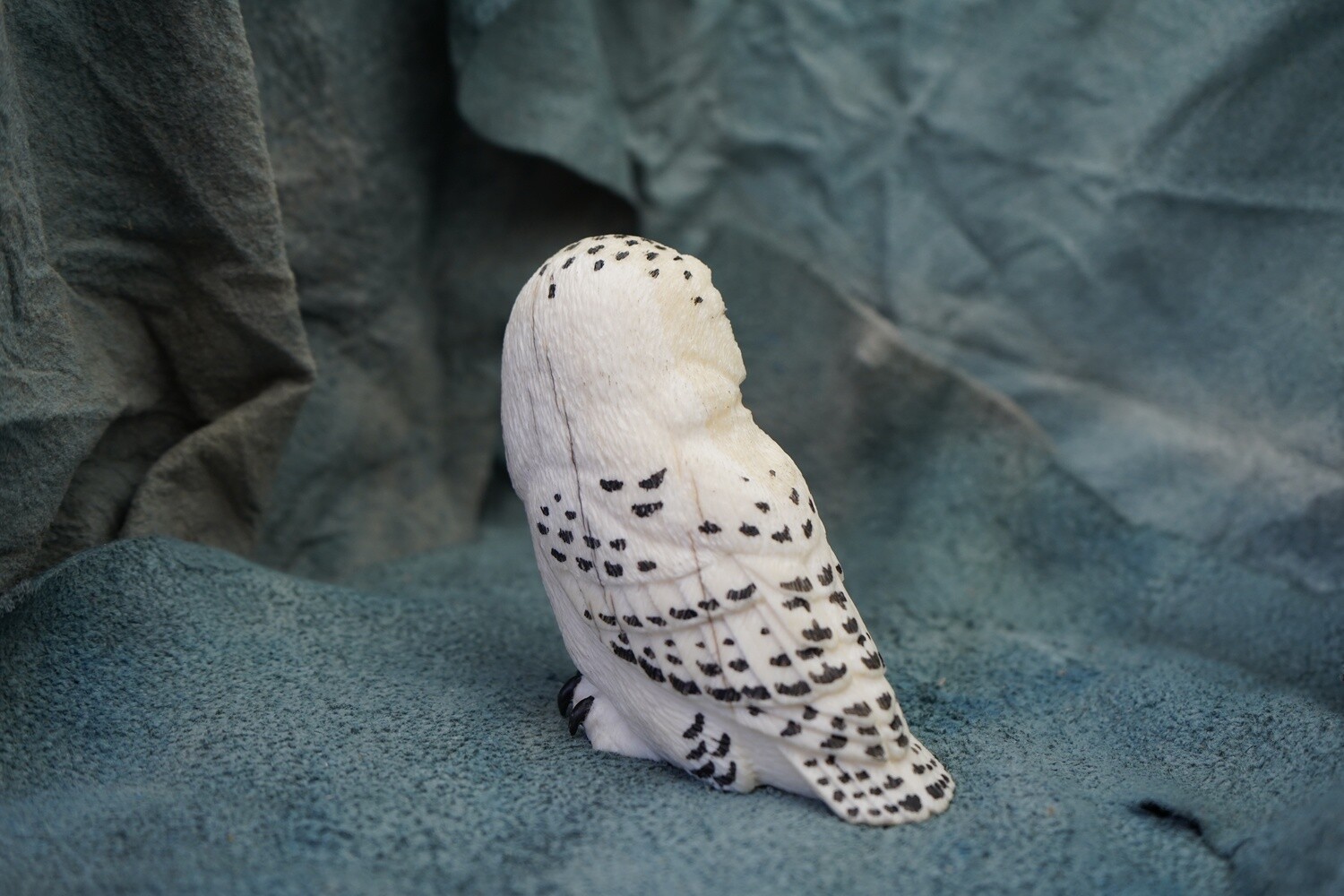 Snow Owl