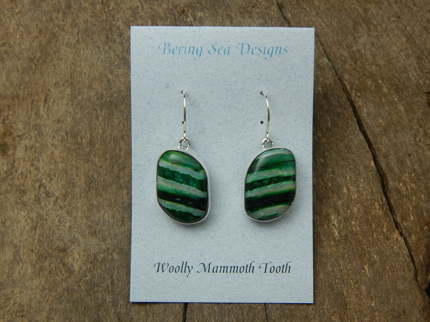 Fossilized Woolly Mammoth Earrings