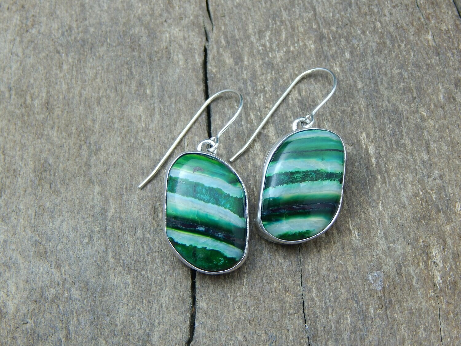 Fossilized Woolly Mammoth Earrings
