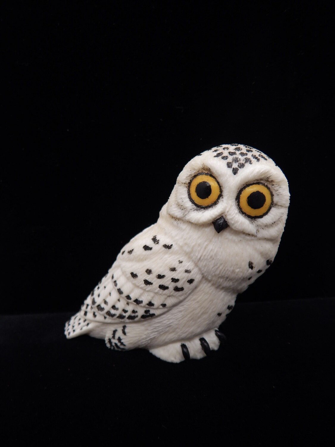 Snow Owl