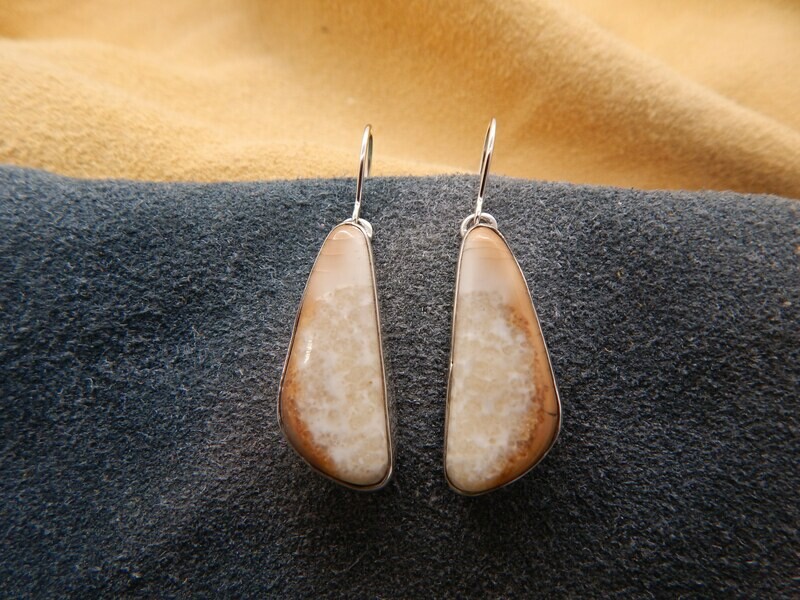 Fossil Walrus Ivory