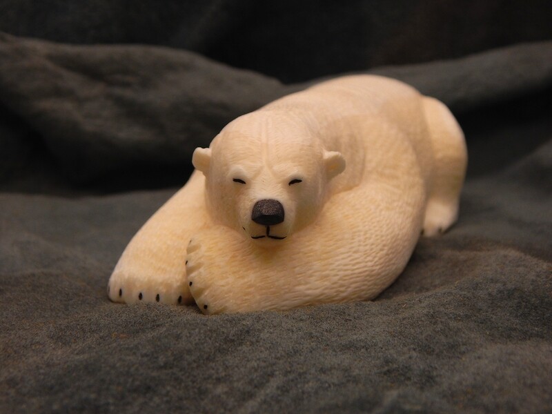 Bear on New Ice
