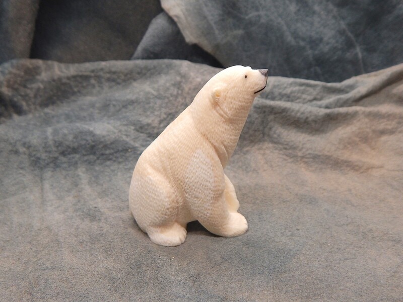 Small Polar Bear