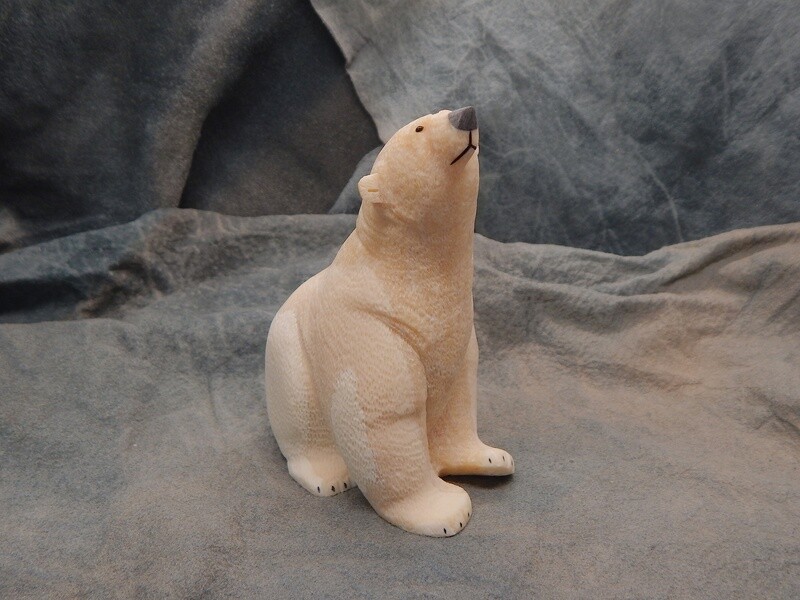 Medium Polar Bear