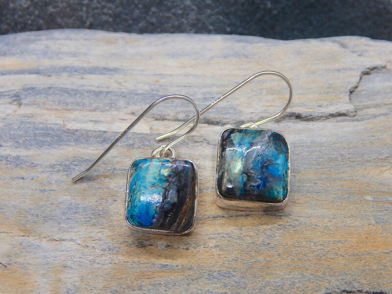 Woolly Mammoth Tooth Square Earrings