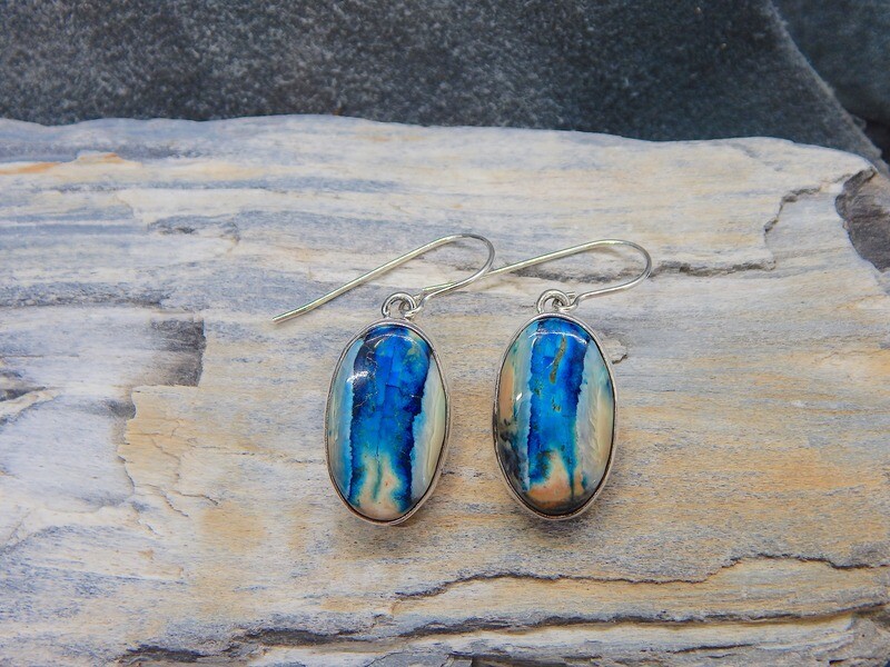 Woolly Mammoth Tooth Oval Earrings