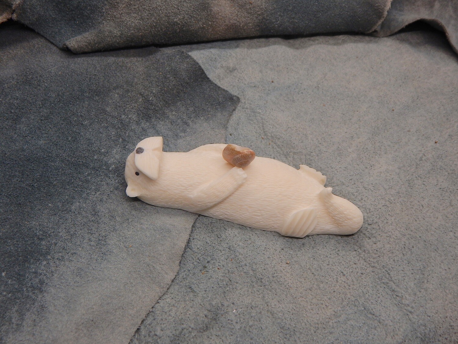 Sea Otter with Shell