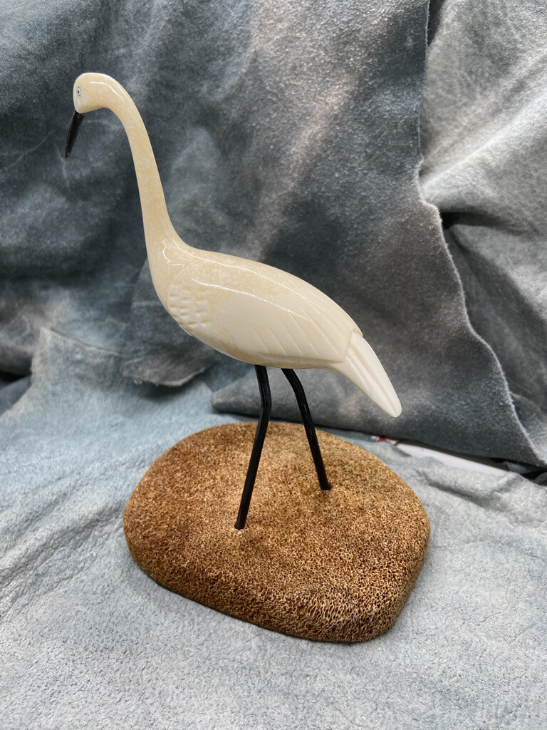 Sandhill Crane on Whale Baleen