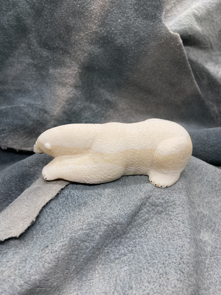 Polar Bear on New Ice