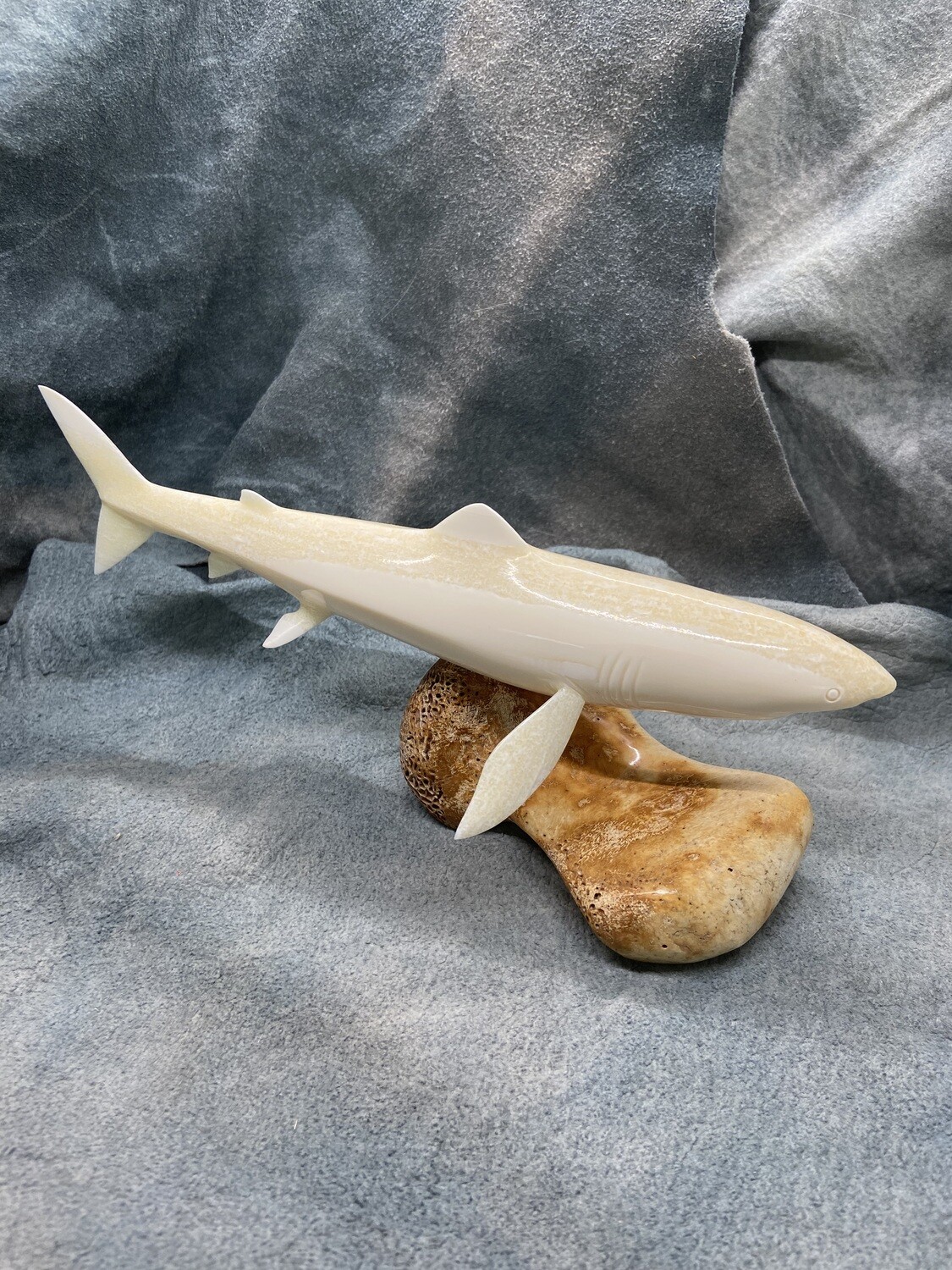 Shark