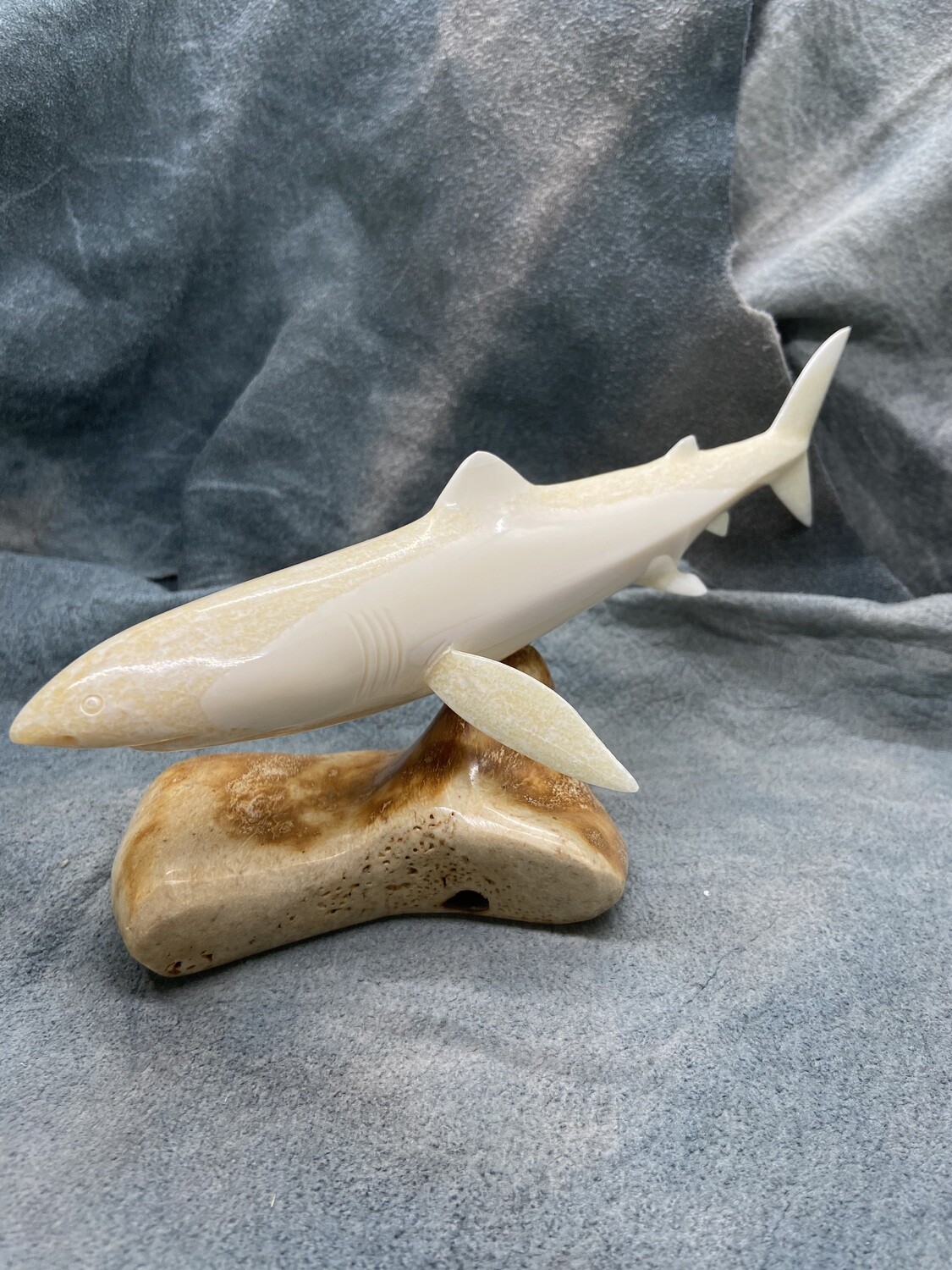 Shark