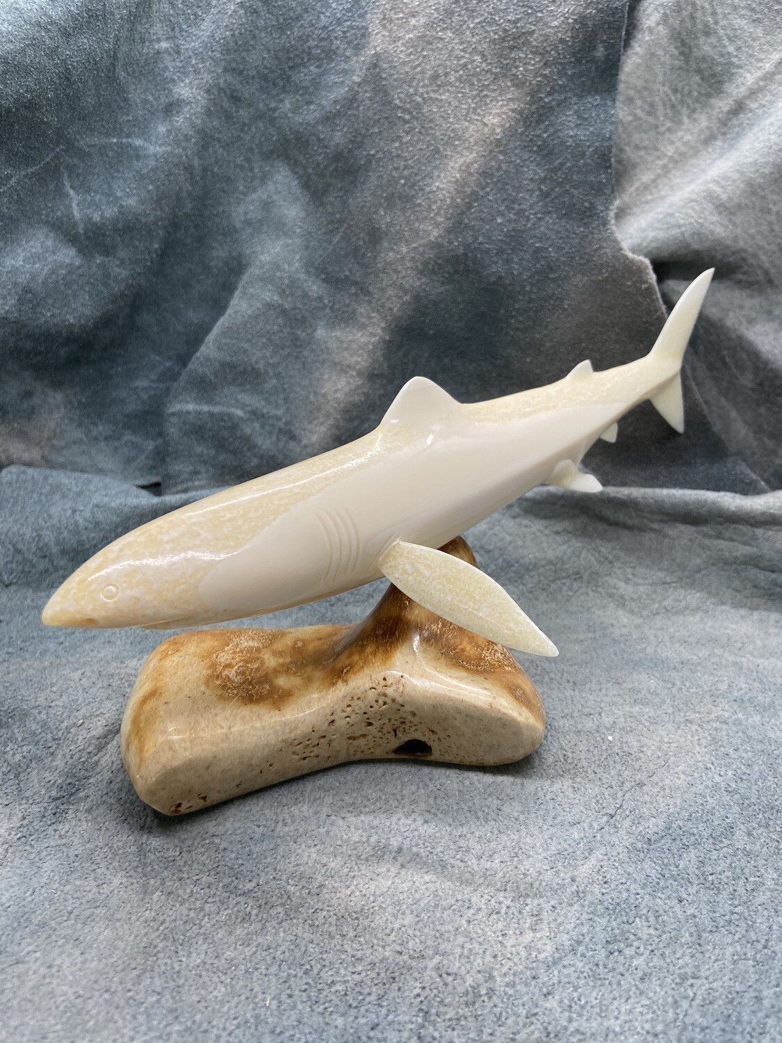 Shark