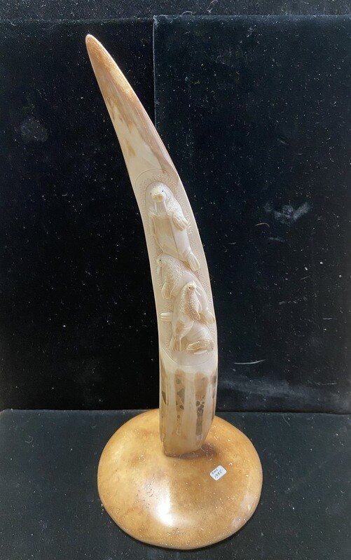 Fossilized Walrus Tusk