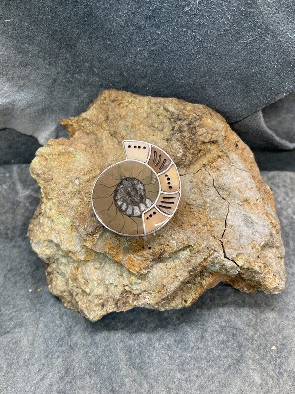&quot;Moroccan Ammonite&quot; Pin/Pendant Combo