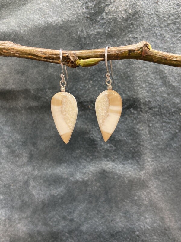 Reverse Teardrop Crosscut Fossilized Walrus Ivory Earrings