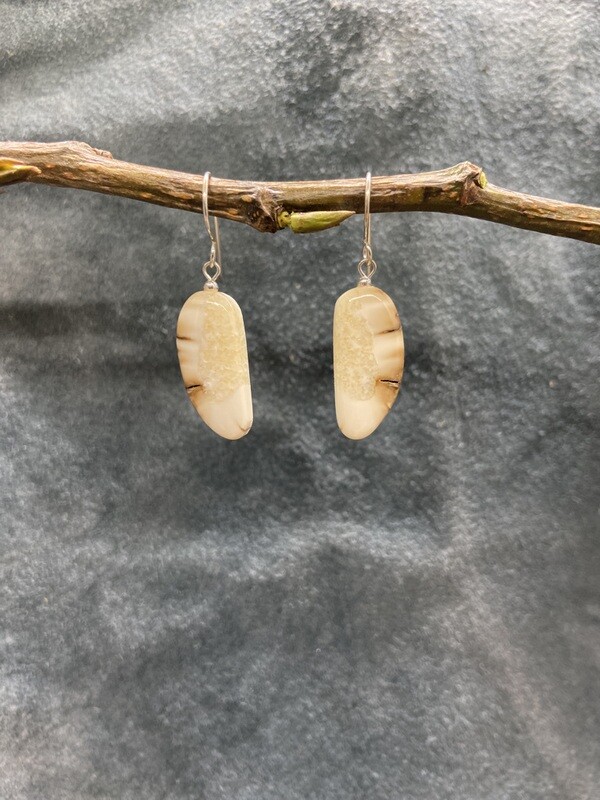 Crosscut Fossilized Walrus Ivory Earrings
