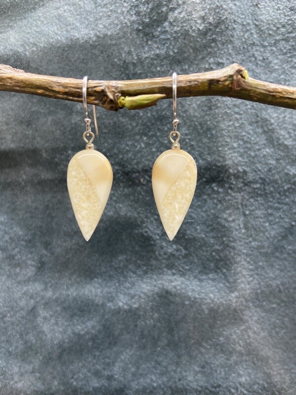 Reverse Teardrop Crosscut Fossilized Walrus Ivory Earrings